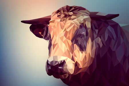 Vector art polygon