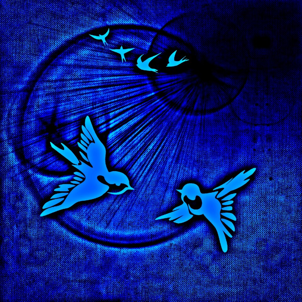 Pair sunshine background