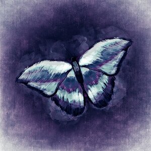 Flying wing Free illustrations