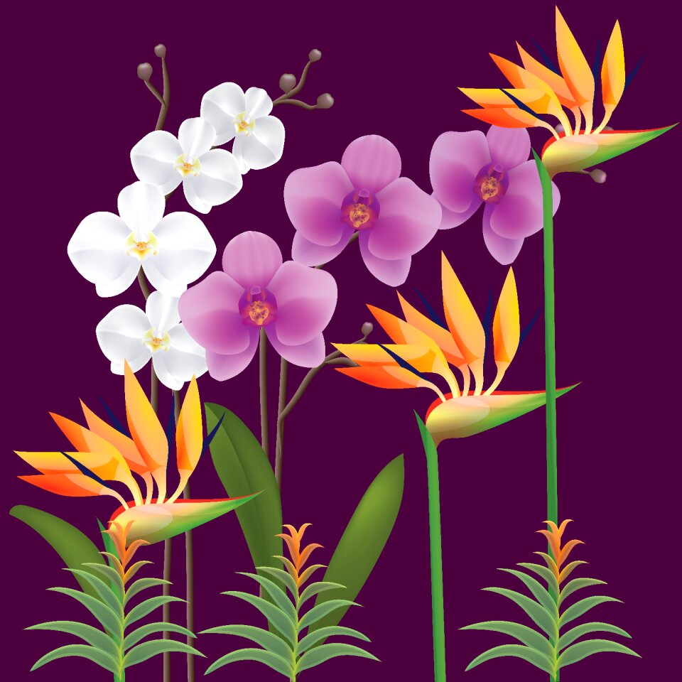 Textile flower design design texture