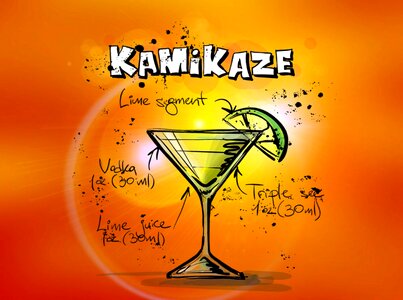 Alcohol recipe party