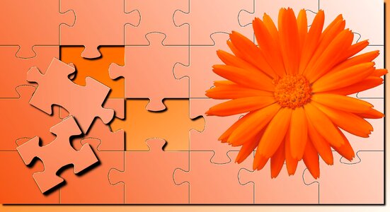 Orange color wallpaper