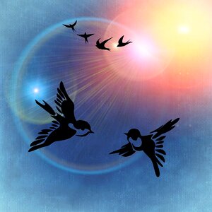 Sunshine background Free illustrations