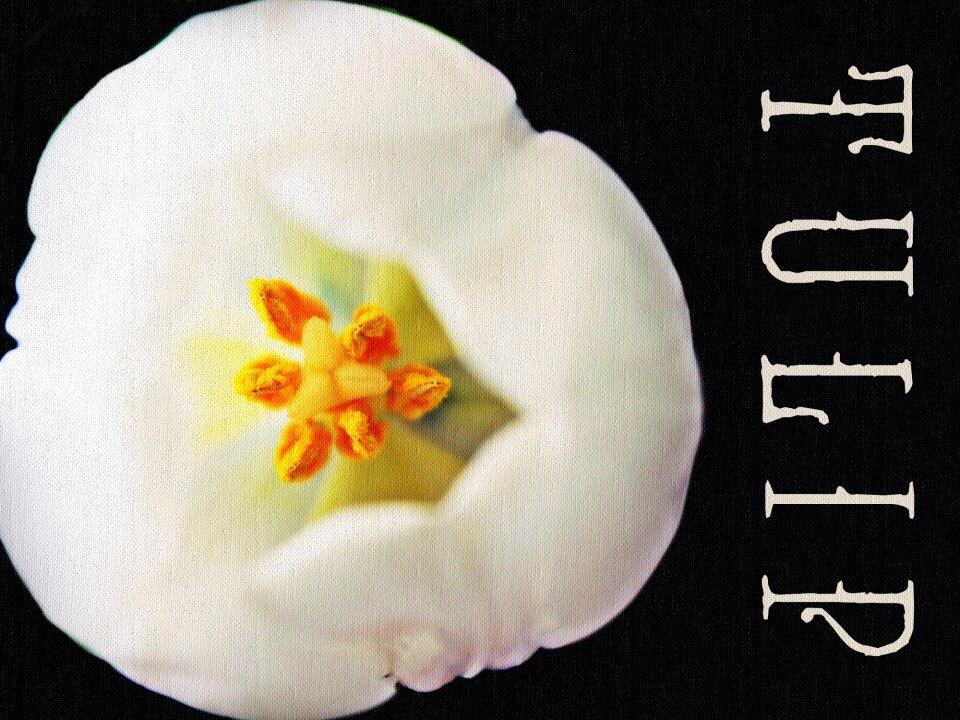 Artists artfully flower