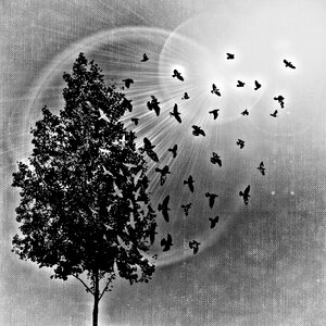 Sun background Free illustrations