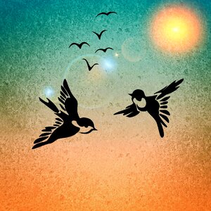 Sunshine background Free illustrations