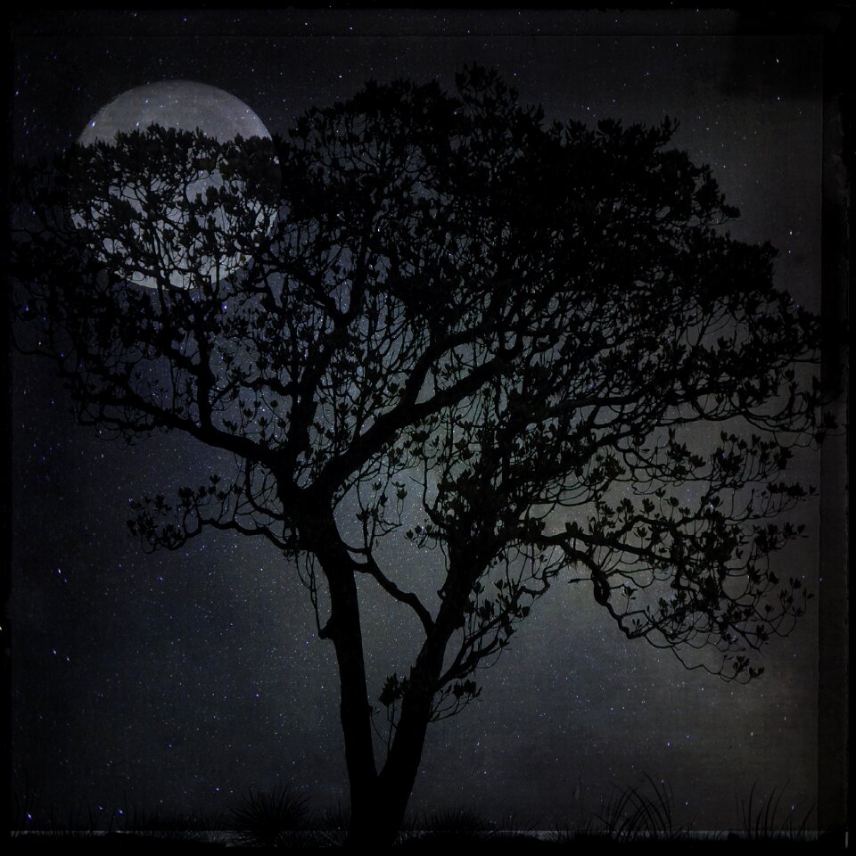 Moon dark moonlight