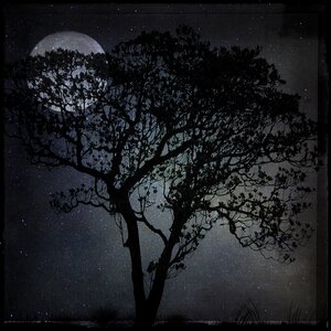 Moon dark moonlight