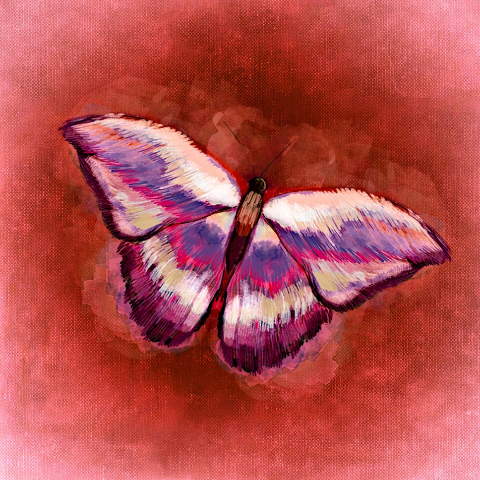 Flying wing Free illustrations