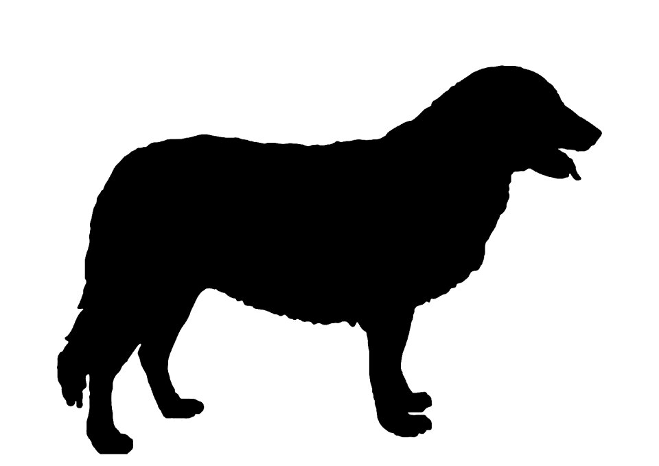Animal aidi Free illustrations