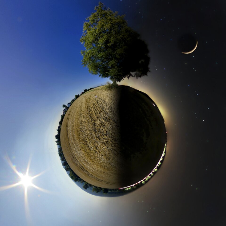Sun and moon tree mood