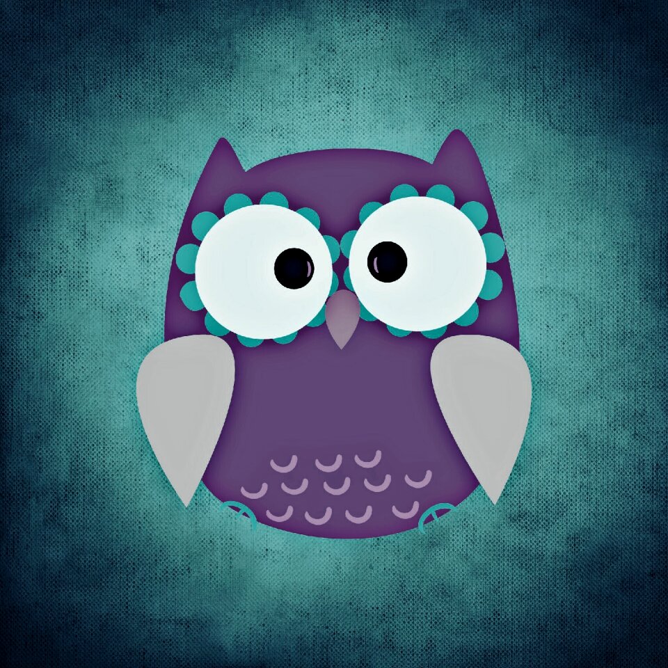 Funny bird Free illustrations
