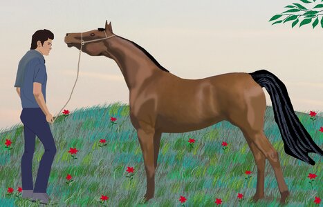 Grass summer Free illustrations
