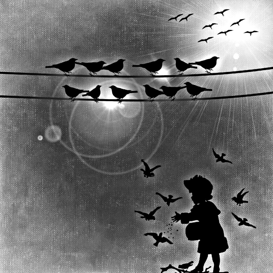 Feed sun Free illustrations