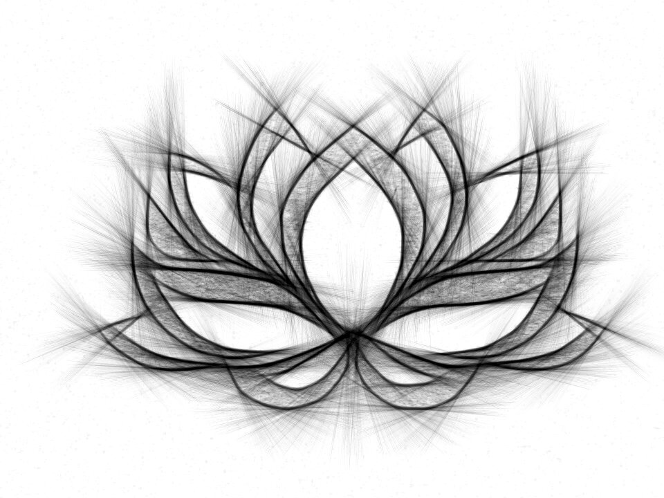 Pencil flower Free illustrations