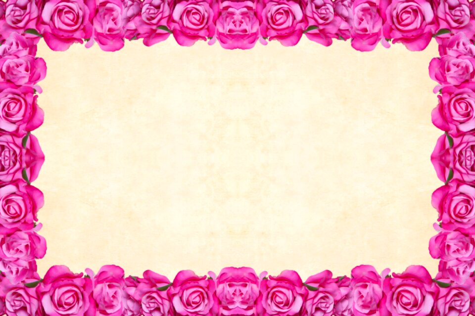 Floral border garden frame