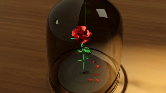 Plant petal red