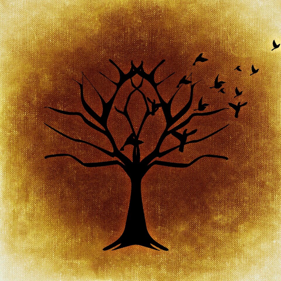 Flying autumn winter