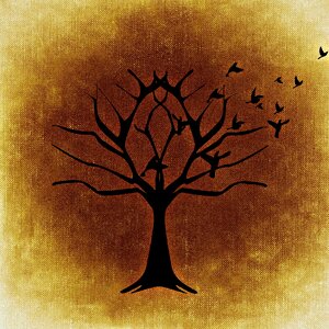Flying autumn winter
