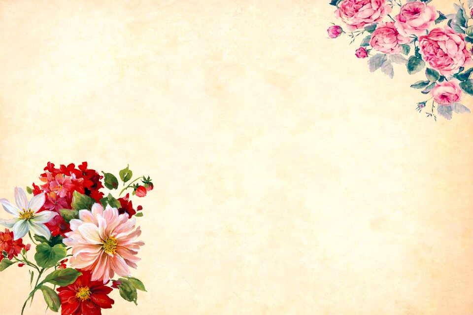 Floral border garden frame