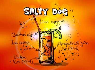 Alcohol recipe party