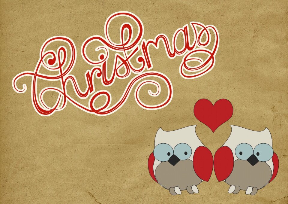 Love birds heart