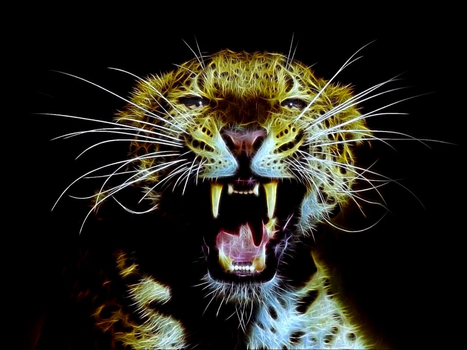 Animal risk tooth