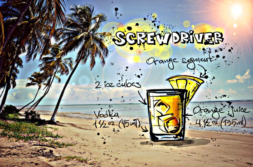 Alcohol recipe party