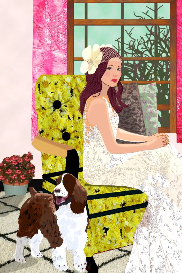 Living room english springer spaniel Free illustrations