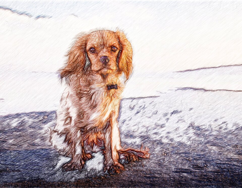 Watercolor friend pet