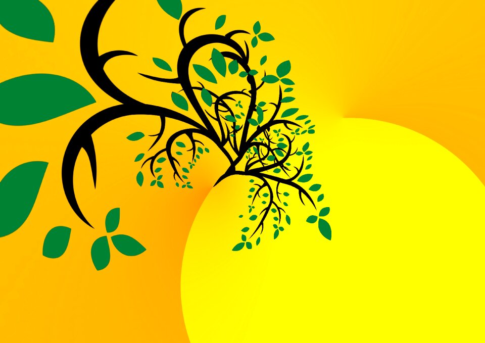 Branches yellow sun