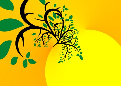Branches yellow sun