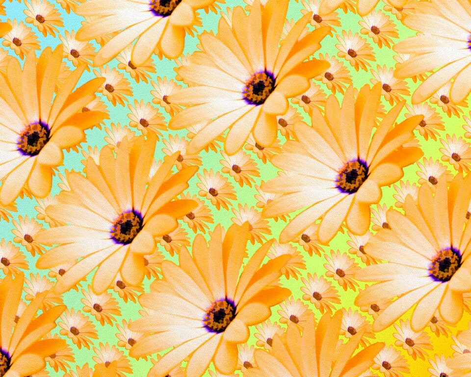 Abstract flowers decoration