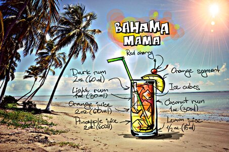 Alcohol recipe party