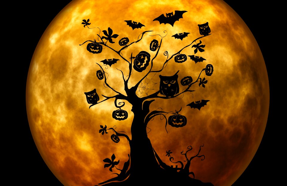Pumpkin weird surreal