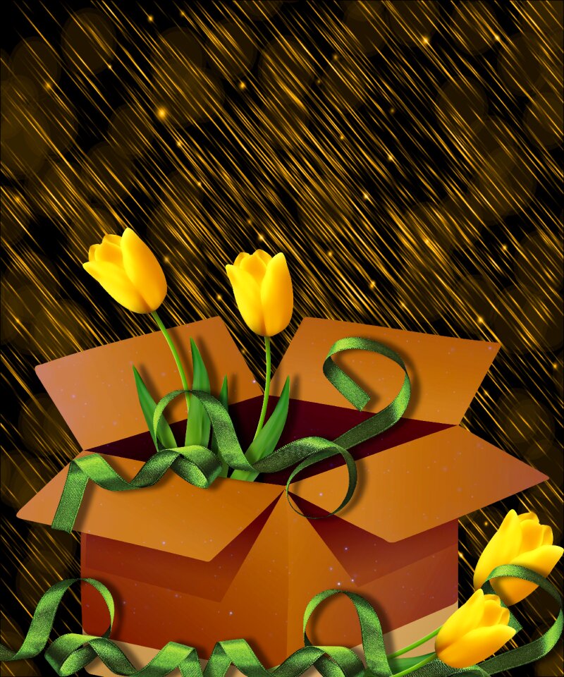 Background romantic tulip