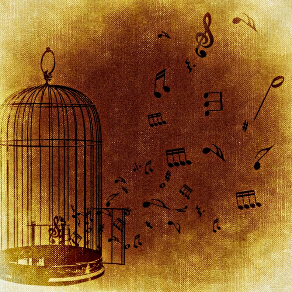 Melody freedom Free illustrations