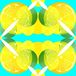 Citrus pattern Free illustrations