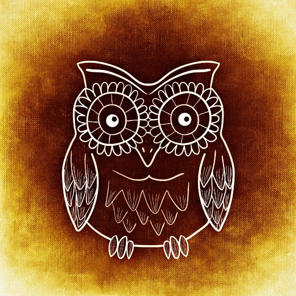 Pattern structure bird
