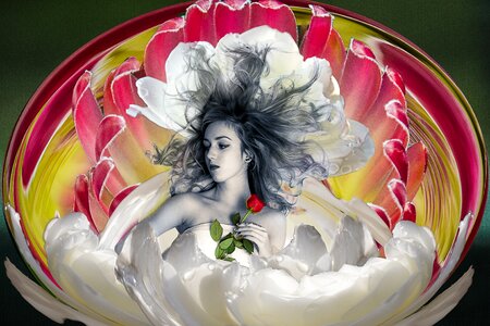 Fantasy red rose