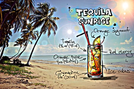 Alcohol recipe party