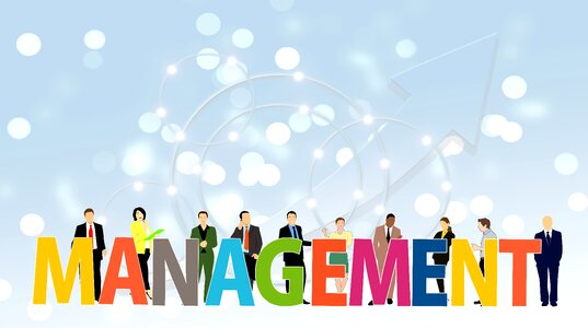 Businesswoman plan action