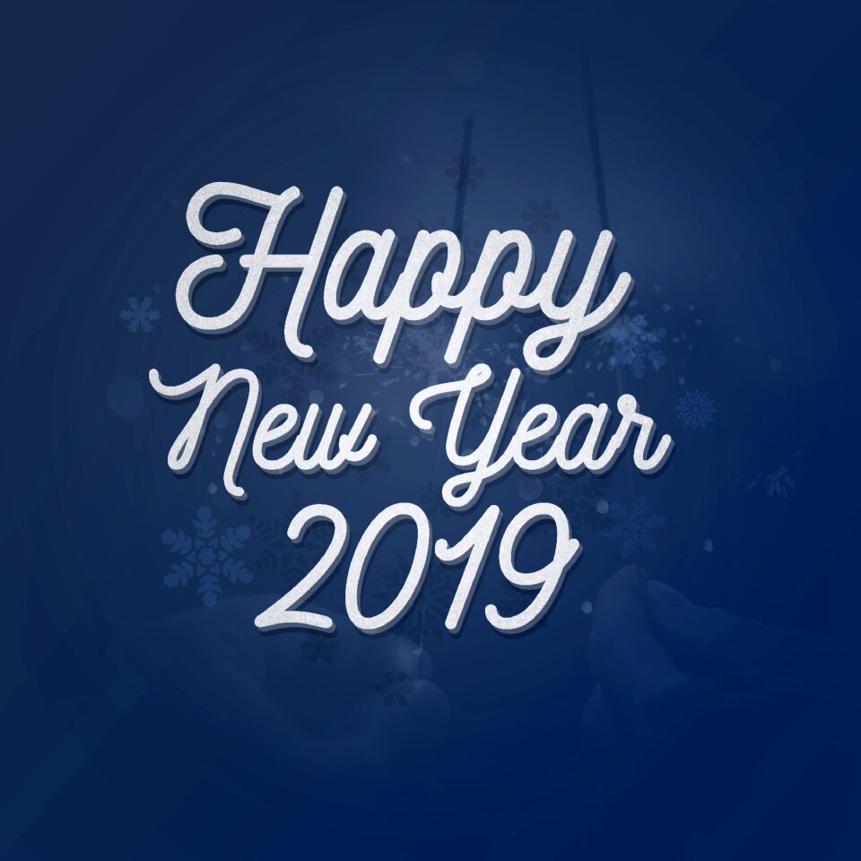 New year new year day celebration