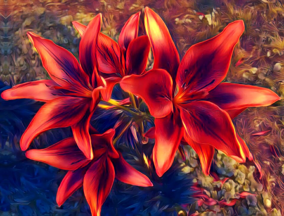 Flower plant blossom