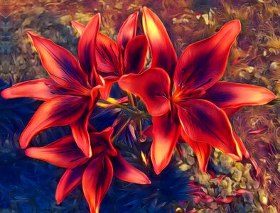 Flower plant blossom