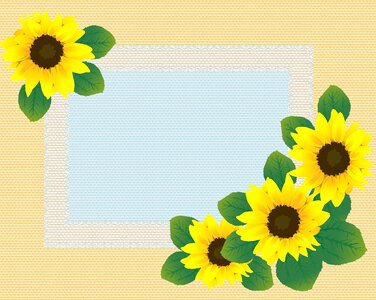 Lace paper paper sunflower