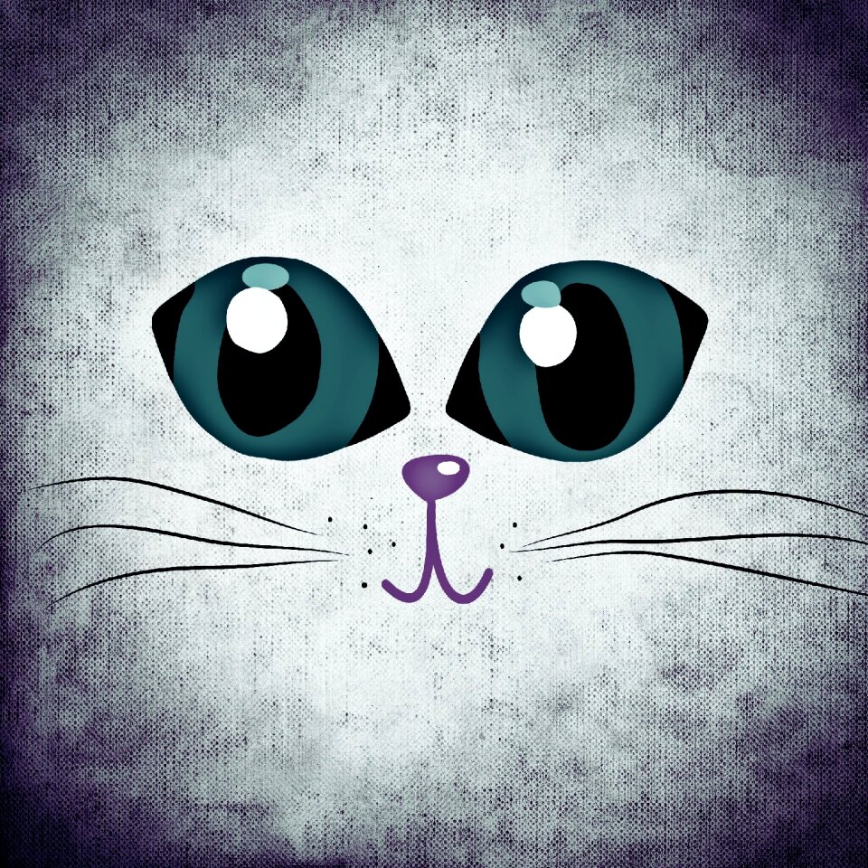 Cat animal cute