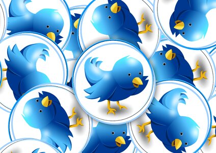 Tweet chirrup bird