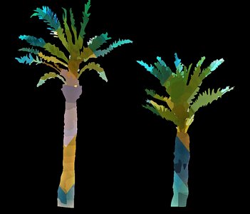 Tropical nature palm tree