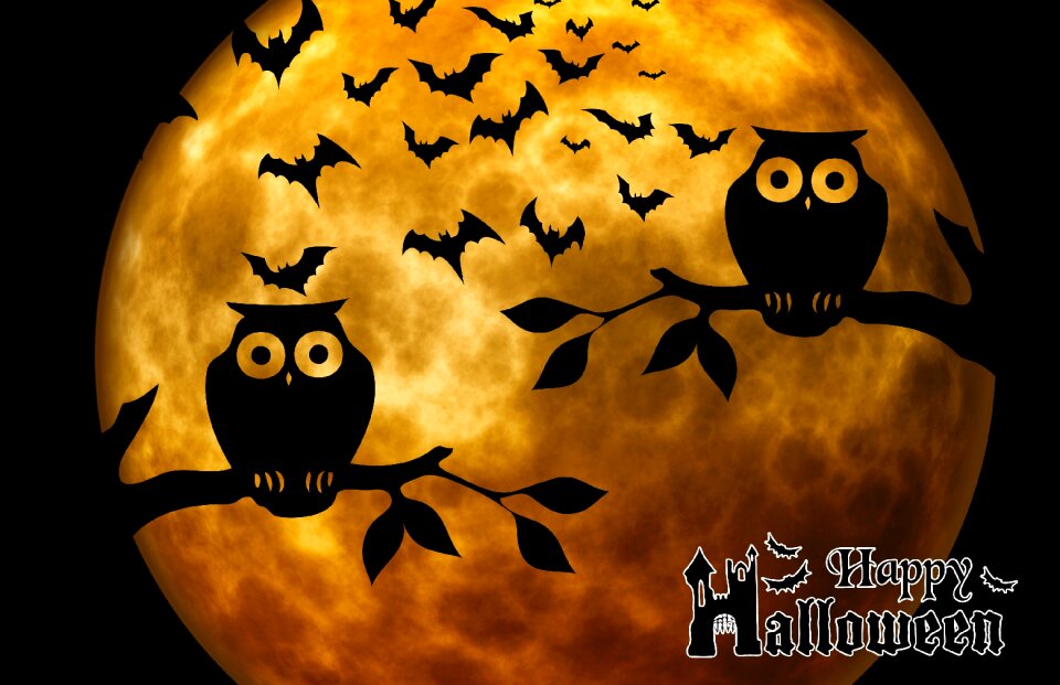 Atmosphere creepy owls